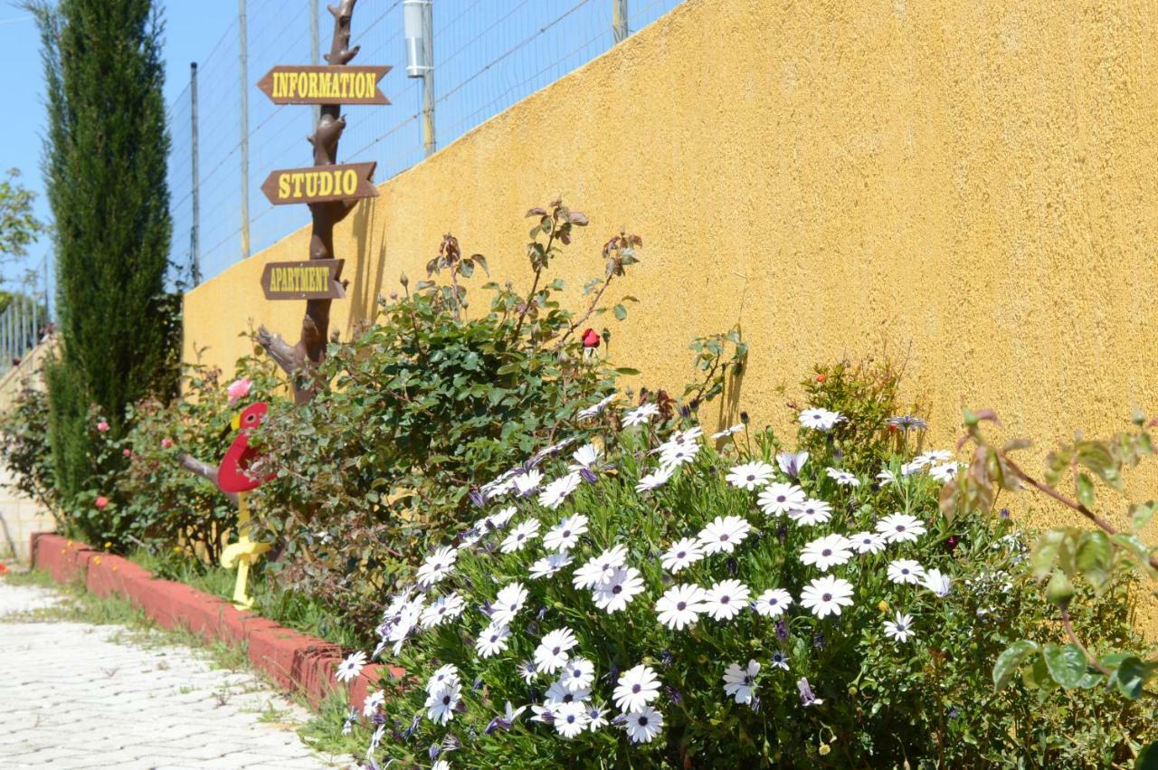 Acqui Villa Argostoli  Eksteriør bilde