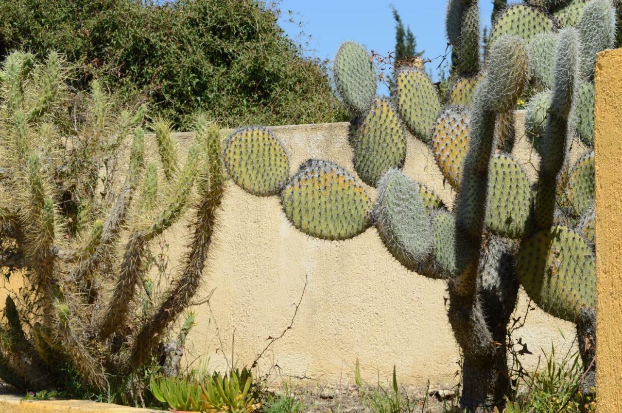 Acqui Villa Argostoli  Eksteriør bilde